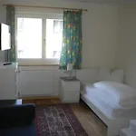 Eder - Joker Card Included In Summer Hotel Saalbach-Hinterglemm
