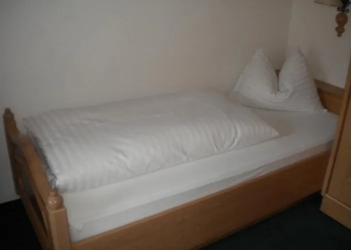 Eder - Joker Card Included In Summer 3*